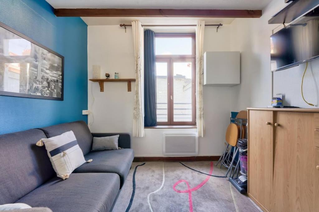Cosy Studio A Prox Du Musee D'histoire Naturelle Appartement Lille